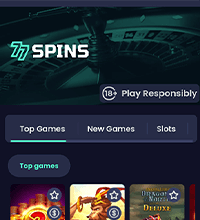 77Spins Casino Screenshot