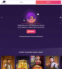 Slot Planet Casino Screenshot