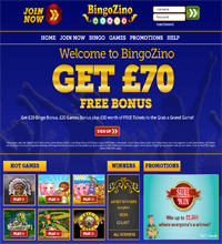 BingoZino Screenshot
