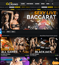 Playhub Casino Screenshot
