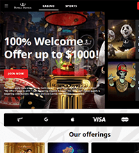 Royal Panda Casino Screenshot
