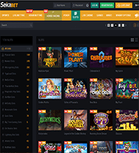 Sekabet Casino Screenshot