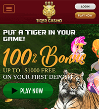 888 Tiger Casino Screenshot