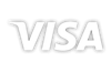 Visa Logo