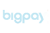Big Pay Logo