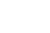 Piastrix Wallet Logo