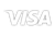 Visa Logo