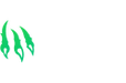 Wild.io Casino Logo