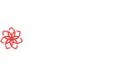 CasinoChan Casino Logo