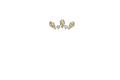 Exclusive Casino Logo
