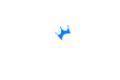 NikaSpin Casino logo
