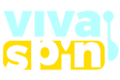 Vivaspin Casino logo
