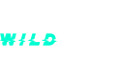 Wildcoins Casino Wildcoins Casino Logo