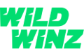 WildWinz Casino logo