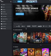 Arcticbets Casino Screenshot
