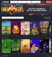 Bahigo Casino Screenshot