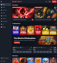 BetBay Casino Screenshot