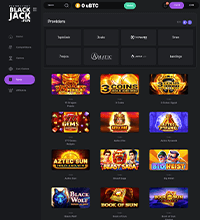 Blackjack Fun Casino Screenshot