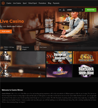 Casino Winner Screenshot
