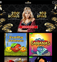 Casinsi Casino Screenshot
