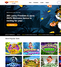 Lucky Owl Club Screenshot