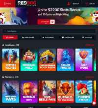 Red Dog Casino Screenshot