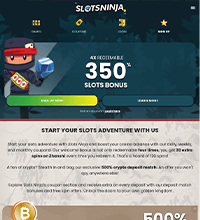 Slots Ninja Casino Screenshot