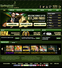 Springbok Casino Screenshot