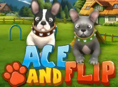 Ace and Flip Logo