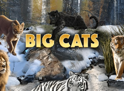 Big Cats Logo
