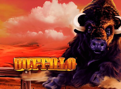 Buffalo Buffalo Logo