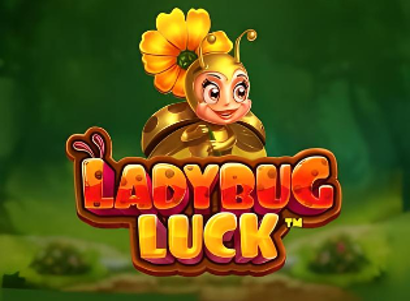 Ladybug Luck Logo