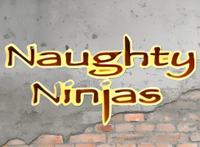 Naughty Ninjas Logo