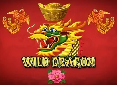 Wild Dragon Logo
