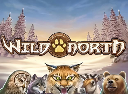 Wild North Logo