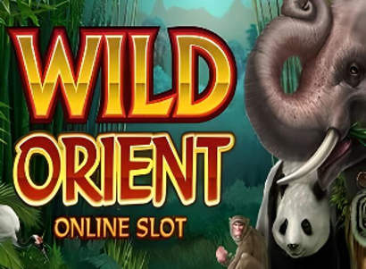 Wild Orient Logo