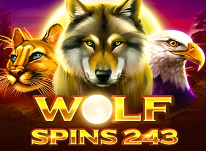 Wolf Spins 243 Logo