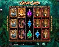 Datos extraños sobre betway casino chile
