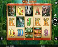 Usa no deposit casino bonus codes Usa no deposit casino bonus codes