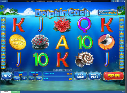 Blue dolphin casino club